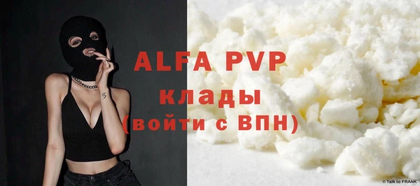 стафф Новодвинск