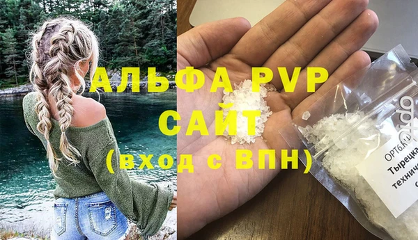 стафф Новодвинск