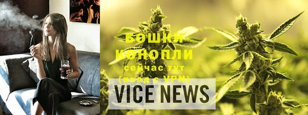 стафф Новодвинск