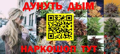 соль ск Гатчина