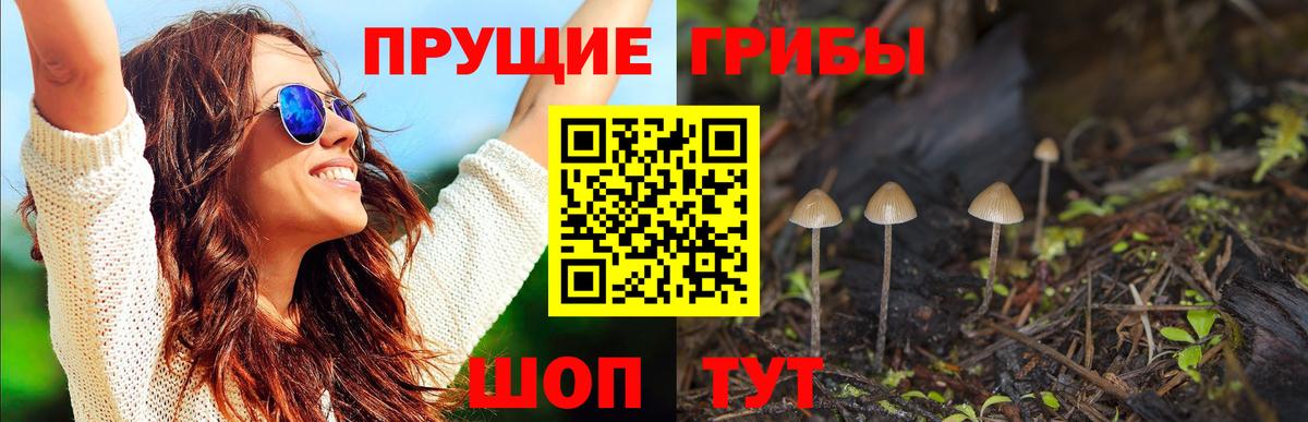 Галлюциногенные грибы GOLDEN TEACHER Конаково